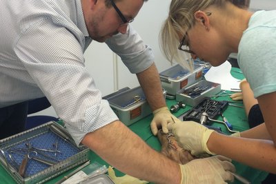 Personen bei Chirurgieübungen